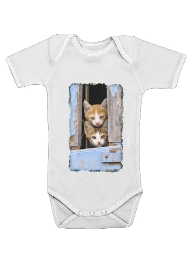  Cute curious kittens in an old window voor Baby short sleeve onesies