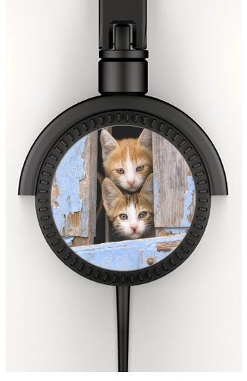  Cute curious kittens in an old window voor hoofdtelefoon