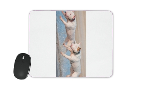  bull terrier Dogs voor Mousepad