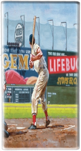  Baseball Painting voor draagbare externe back-up batterij 5000 mah Micro USB