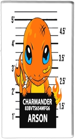  Charmander Jail voor draagbare externe back-up batterij 5000 mah Micro USB