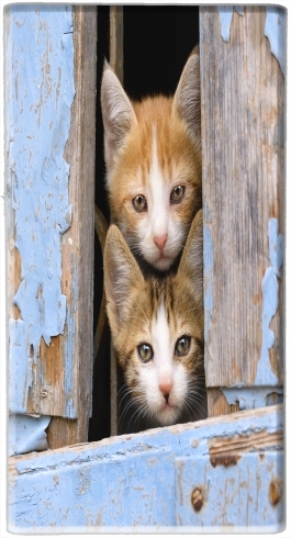  Cute curious kittens in an old window voor draagbare externe back-up batterij 5000 mah Micro USB