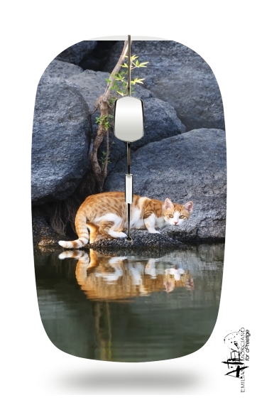  Cat Reflection in Pond Water voor Draadloze optische muis met USB-ontvanger