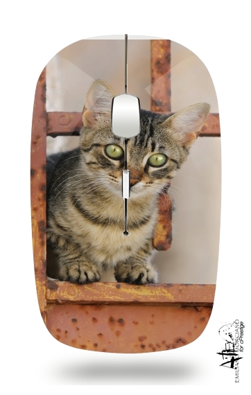  Cute kitten on a rusty iron door  voor Draadloze optische muis met USB-ontvanger