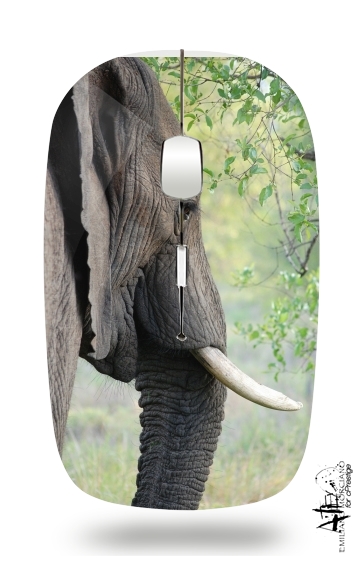  Elephant voor Draadloze optische muis met USB-ontvanger