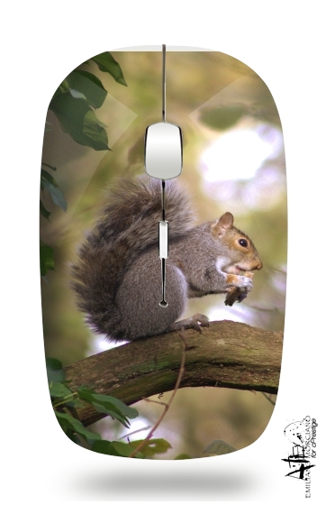  squirrel gentle voor Draadloze optische muis met USB-ontvanger