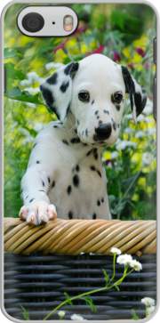 Hoesje Cute Dalmatian puppy in a basket  for Iphone 6 4.7