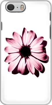 Hoesje Daisy Burgundy for Iphone 6 4.7