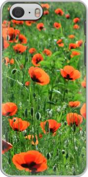 Hoesje POPPY FIELD for Iphone 6 4.7