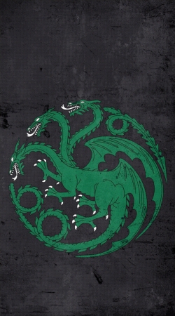 hoesje Flag Dragon House Green