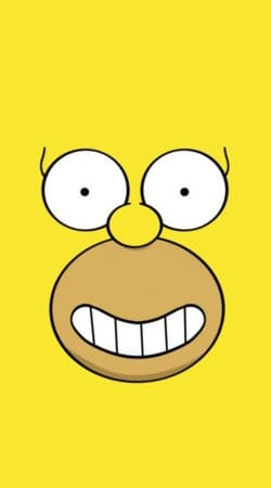 hoesje Homer Face