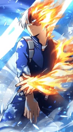 hoesje shoto todoroki ice and fire