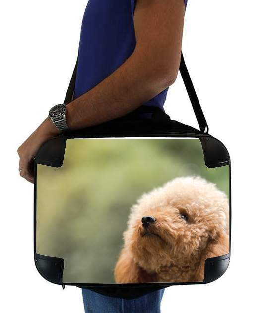  poodle on grassy field voor Laptoptas