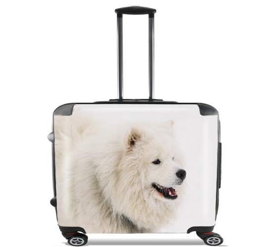  samoyede dog voor Pilotenkoffer