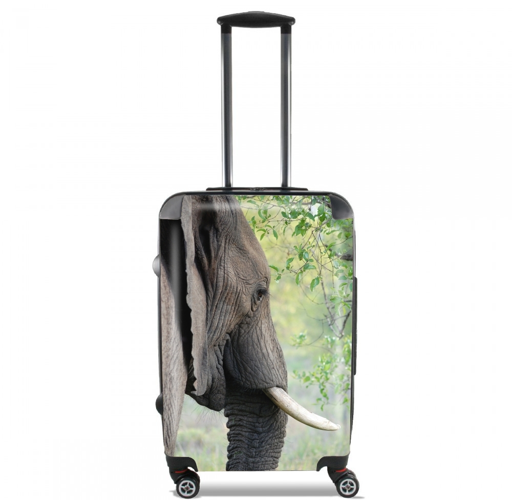  Elephant voor Handbagage koffers