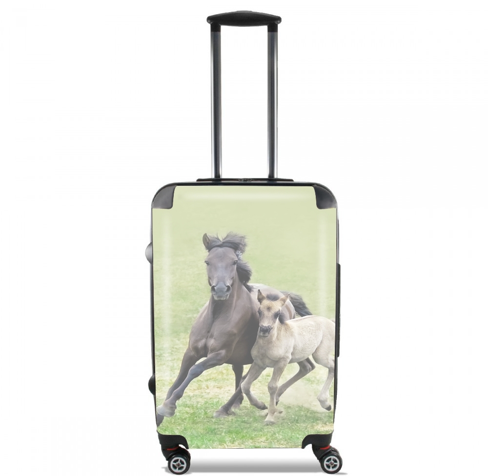  Horses, wild Duelmener ponies, mare and foal voor Handbagage koffers