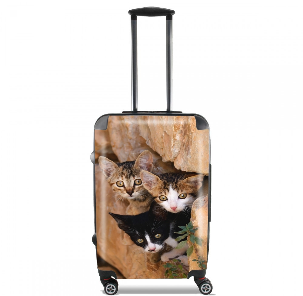  Three cute kittens in a wall hole voor Handbagage koffers